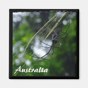 Aimant Australie, Wilderness, Spider (Aimant)
