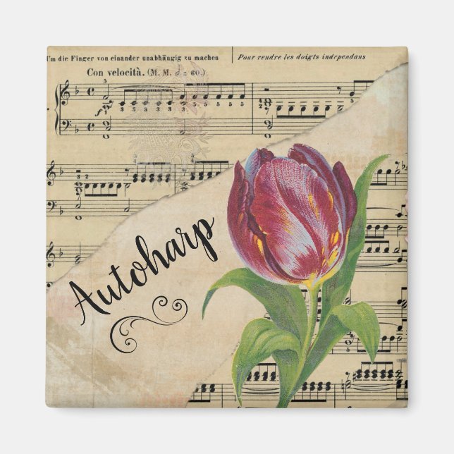 Aimant Autoharp Elegant Tulip Partition Vintage (Devant)