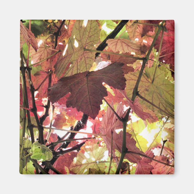 AIMANT AUTOMNE (Devant)