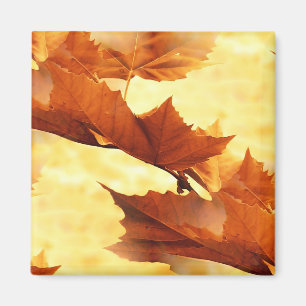 Aimant Automne