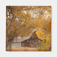 Automne à Mormon Row