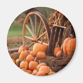 Aimant Automne Citrouille Harvest