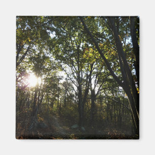 Aimant Automne Matin au Parc national de Shenandoah