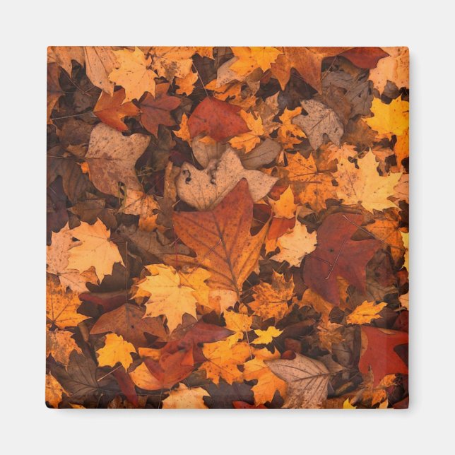 Aimant Autumn Leaves Photo (Devant)
