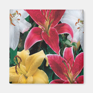 Aimant aux fleurs colorées