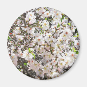 Aimant aux fleurs d'amandes