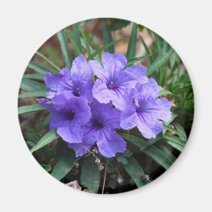 Aimant aux fleurs violettes