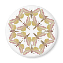 Aimant avec de beaux papillons