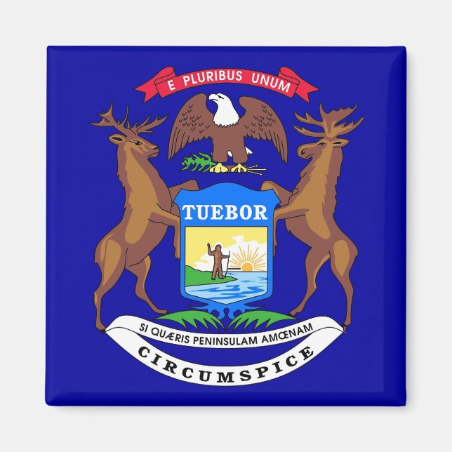 Aimant avec drapeau de l'État du Michigan - États- (Devant)