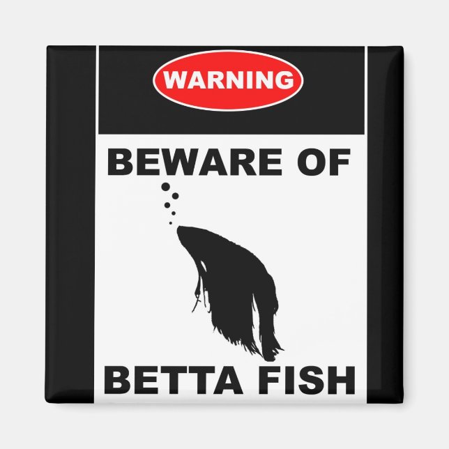 AIMANT "AVERTISSEMENT : ATTENTION AUX BETTA FISH" (Devant)
