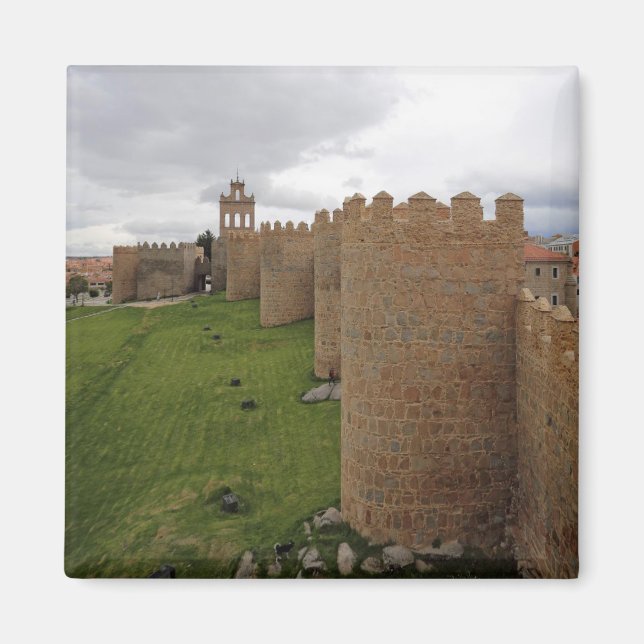 Aimant Avila (Devant)