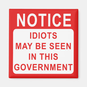 Aimant Avis Idiots