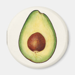 Aimant Avocado