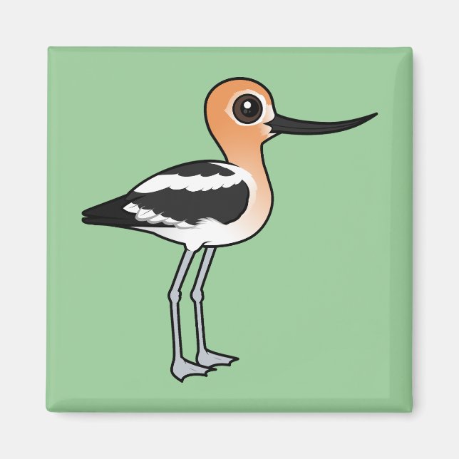 Aimant Avocet américain (Devant)