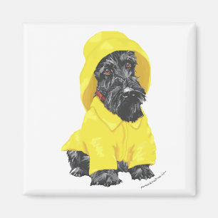 Aimant Avril Douches Scottish Terrier