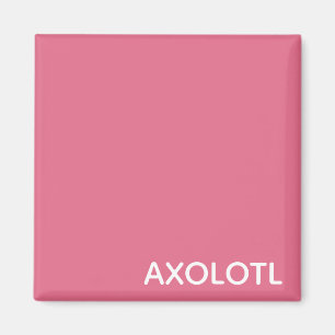 Aimant Axolotl pink color name
