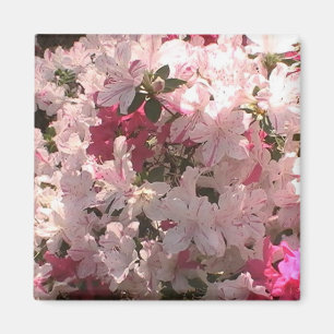 Aimant azalée rose