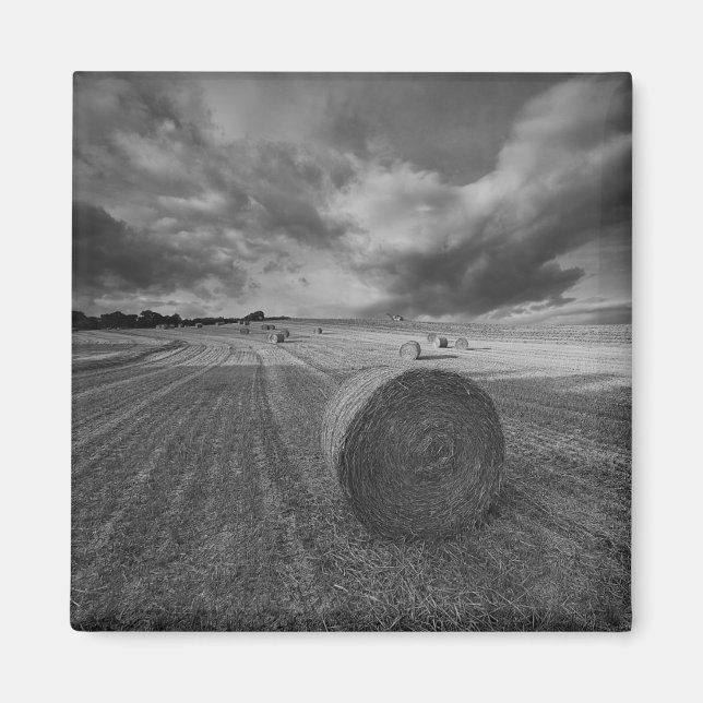 Aimant B&W Barley Field (Devant)
