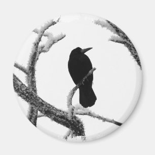 Aimant B&W Winter Raven Edgar Allan Poe