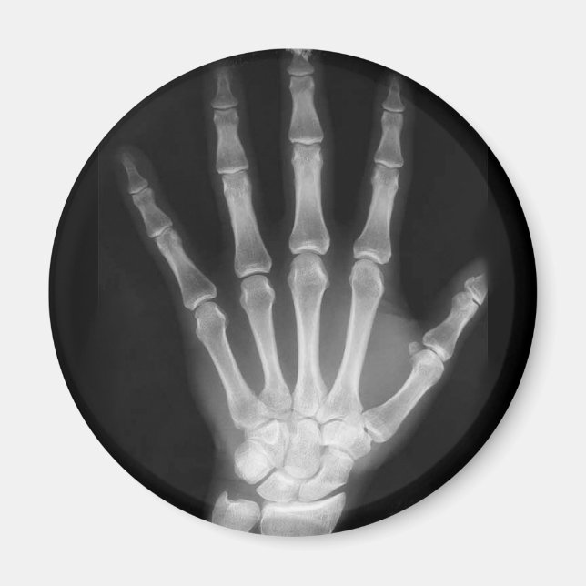 Aimant B&W X-ray Skeleton Main (Devant)