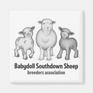 Aimant Babydoll Sheep produits