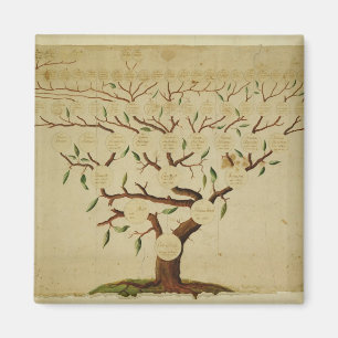 Aimant Bach Family Tree, c.1750-1770