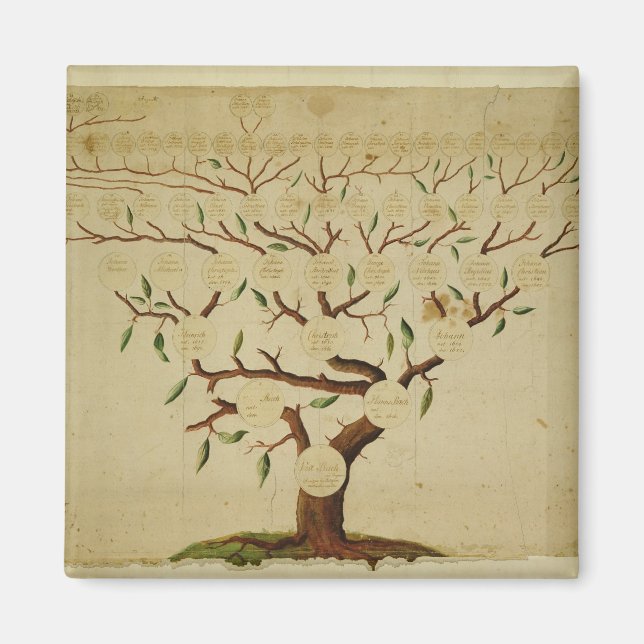 Aimant Bach Family Tree, c.1750-1770 (Devant)