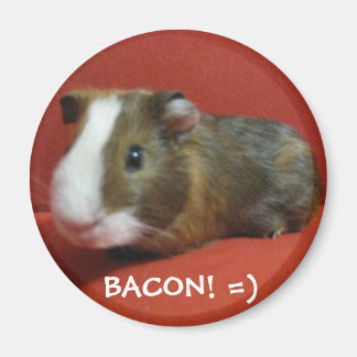 Aimant bacon, BACON ! =)