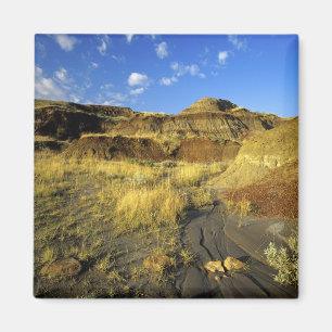 Aimant Badlands du parc provincial Dinosaur en Alberta,