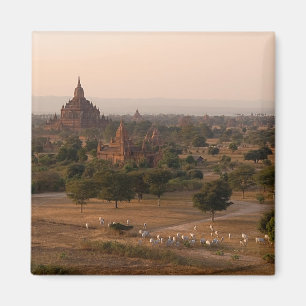 Aimant Bagan à l'aimant de crépuscule