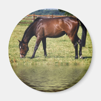 Aimant Baie reflétant