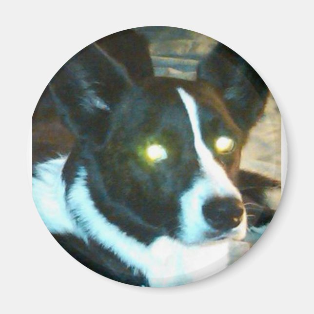 Aimant Bailey (Devant)