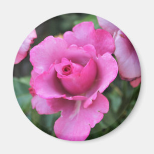 Aimant Baiser d'une Rose