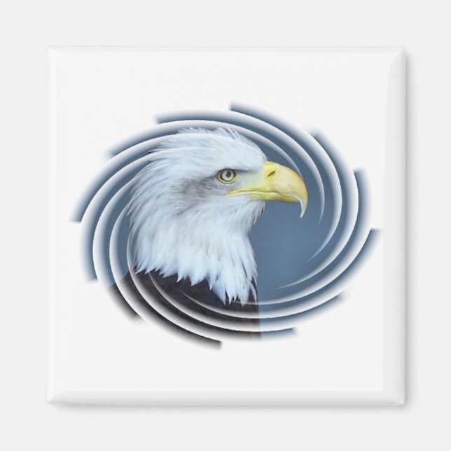 AIMANT BALD EAGLE (Devant)