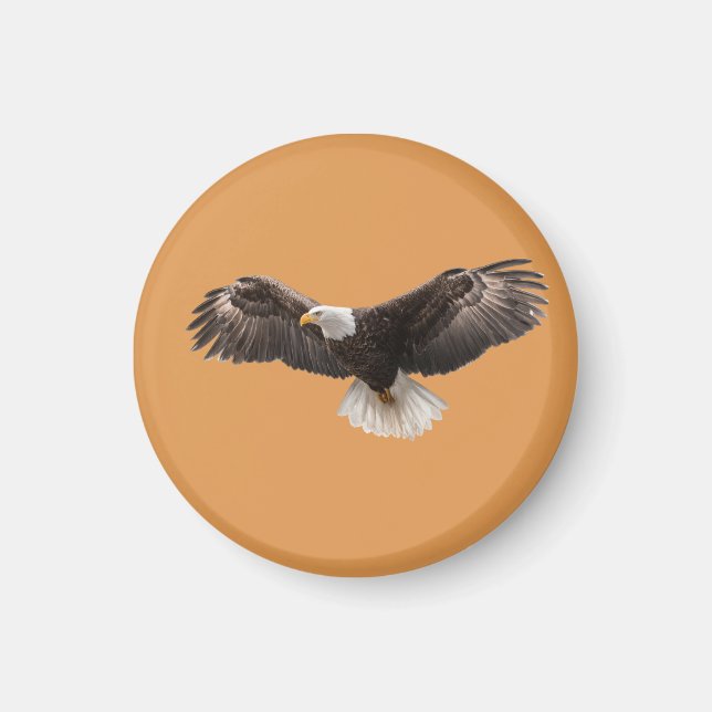 Aimant  bald eagle pin , commonly sold as  (Devant)
