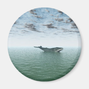 Aimant Baleine sur l'océan