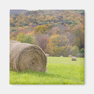 Aimant Balles de foin et feuillage d'automne à la ferme,