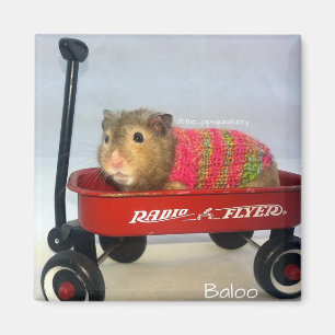 Aimant Baloo dans son chariot rouge