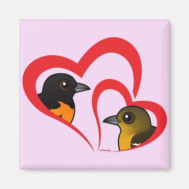 Aimant Baltimore Oriole Love (Devant)