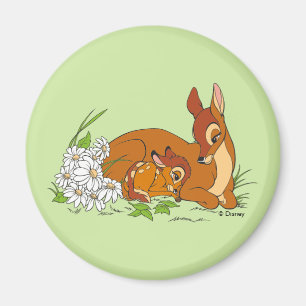 Aimant Bambi Se Repose Avec Sa Mère