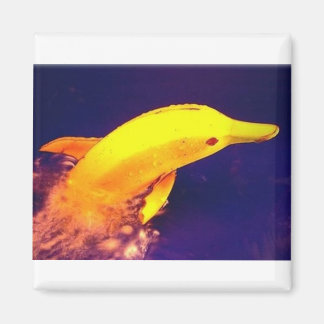 Aimant Banane dauphin