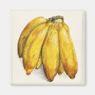 Aimant Bananes