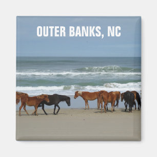 Aimant Bancs extérieurs de Chevaux sauvages OBX Caroline