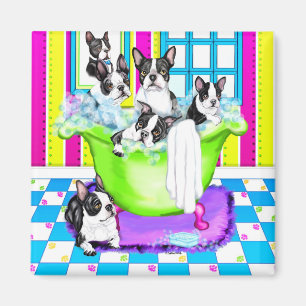 Aimant Baquet de Boston Terrier complètement