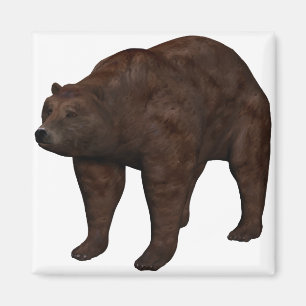 Aimant Bär