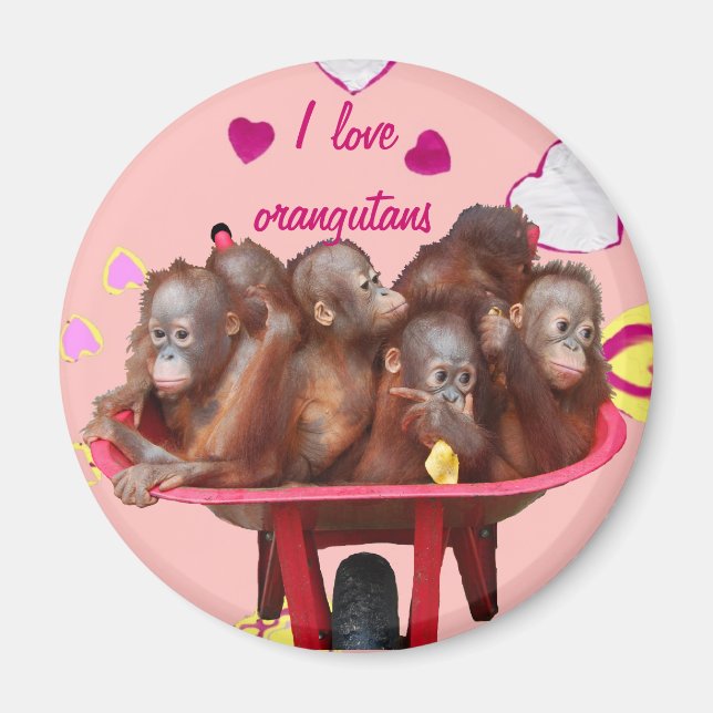 Aimant Baril de bébés d'orang-outan de singes (Devant)