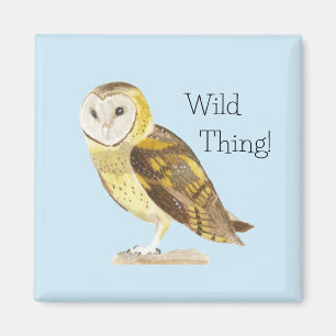 Aimant Barn Owl