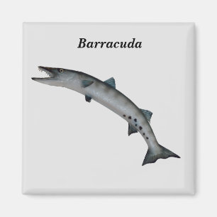 Aimant Barracuda Poisson de jeu