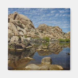 Aimant Barrage de Barker, reflet à Joshua Tree I