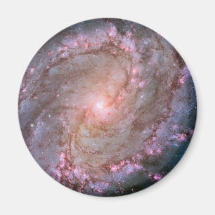 Aimant Barred Spiral Galaxy Messier 83.